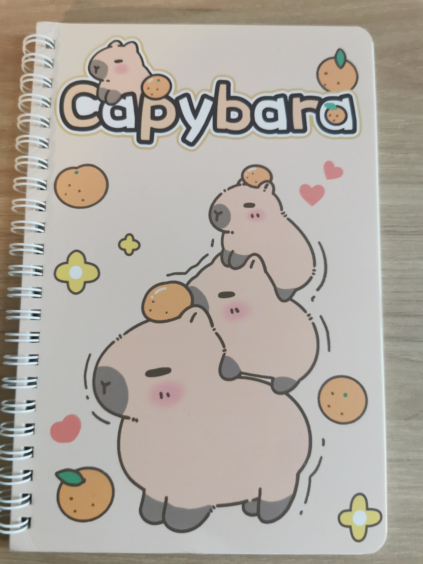 Capybara A5 Coil Notebook with cute and stylish cover, horizontal flip layout and coil binding, compact and practical for notes, journaling, or daily planning.