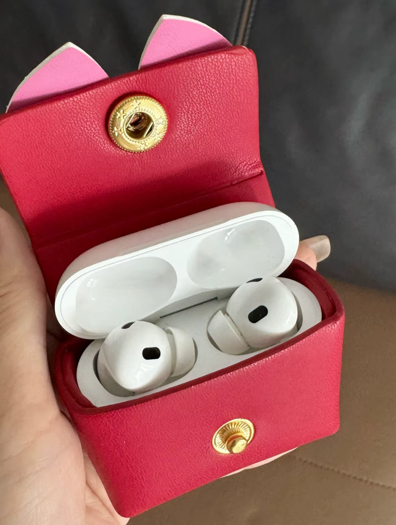 Inside view of the bag showing the main compartment holding ipod case.