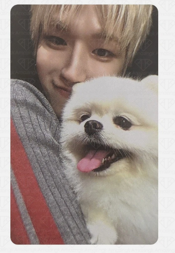 BOYNEXTDOOR – HOME Weverse POB Photocard (A Ver.) | Official K Pop Photocard