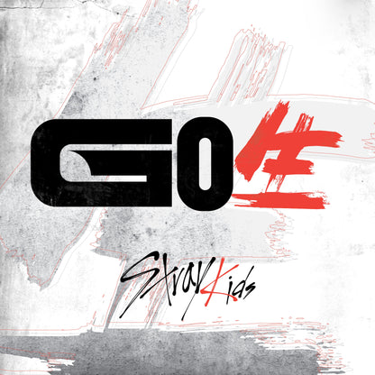 Stray Kids Go Live contents including photobook CD photocards and inclusions