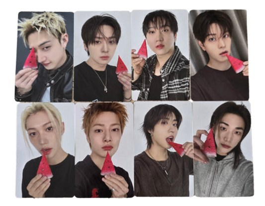 Stray Kids THIS and THAT FANS Album Ver FANS POB selfie photocard B Ver all 8 member versions preview official Kpop photocard collection
